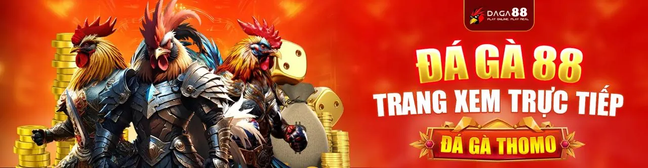 Luật chơi và quy tắc cá cược công bằng tại ok789 win