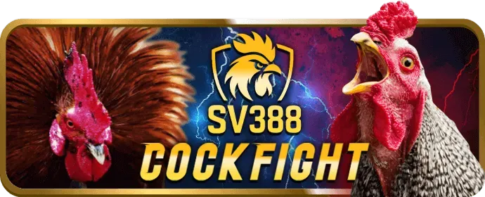 Mẹo cược đá gà ok789 win